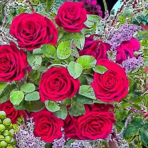 Artistic representation for Celebrate early fall at Portland Rose Society Rose Show , Home Orchard Harvest Festival and Eco Garden Fest.