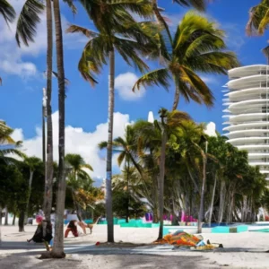 Artistic representation for This is a windfall . Miami Beach pledges $500k to arts groups affected by Desanti cuts