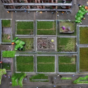 Artistic representation for Small but mighty : the urban farm revolution **Please note that I'm looking for a title for a blog post or article