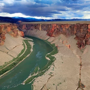 Artistic representation for Can eating less beef and dairy help save the Colorado River ?