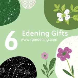 Artistic representation for 6 Gardening Gifts Thatll Please Even the Pickiest Gardeners on Your List