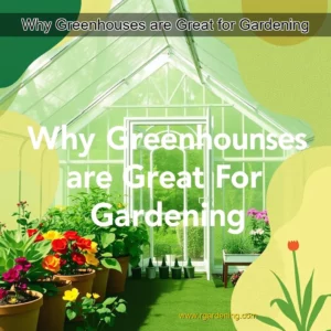 Artistic representation for Why Greenhouses are Great for Gardening