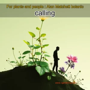 Artistic representation for For plants and people : Alan Matchett botanic calling
