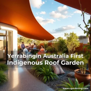 Artistic representation for Yerrabingin Australia First Indigenous Roof Garden
