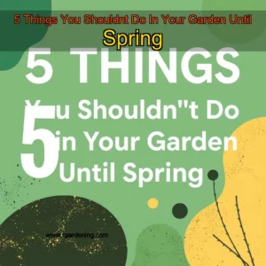 Artistic representation for 5 Things You Shouldnt Do In Your Garden Until Spring