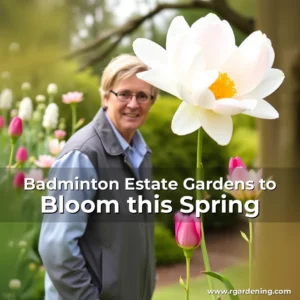 Artistic representation for Badminton Estate Gardens to Bloom this Spring