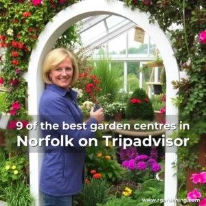 Artistic representation for 9 of the best garden centres in Norfolk on Tripadvisor