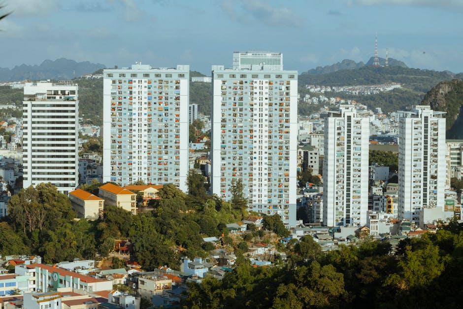 Raised Bed Construction in the Modern Era: What Has Changed