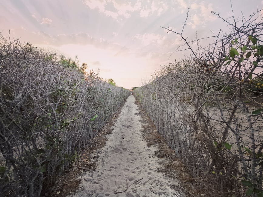 Native Plant Landscaping: Bridging Theory and Practice