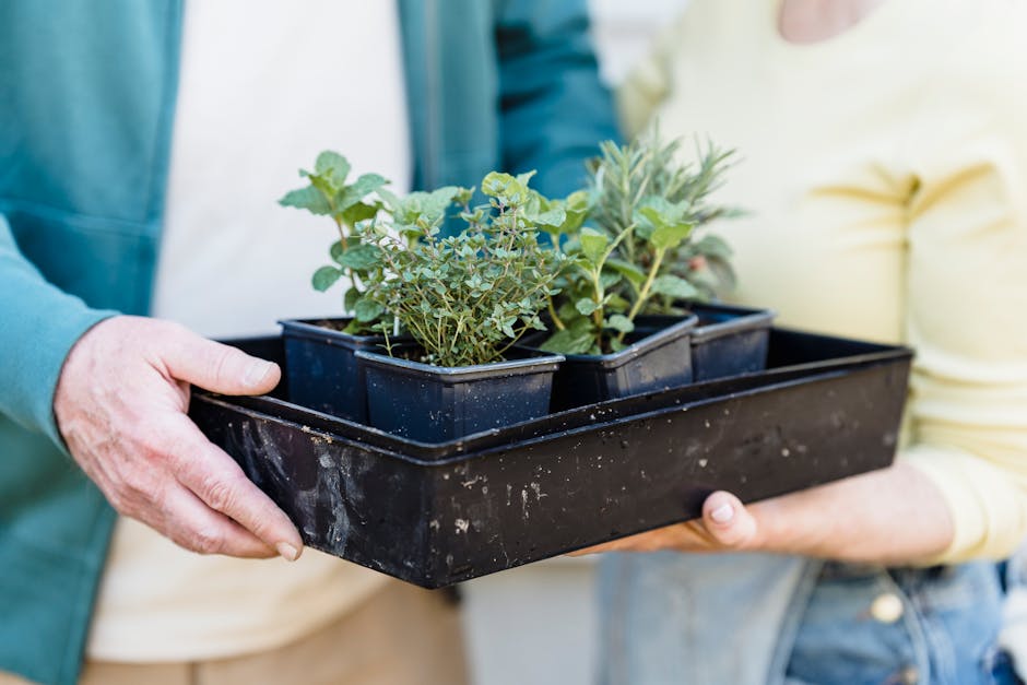 The Complete Guide to Herb Garden Cultivation