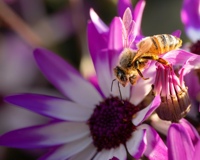 A Fresh Perspective on Pollinator Garden Planning for 2026
