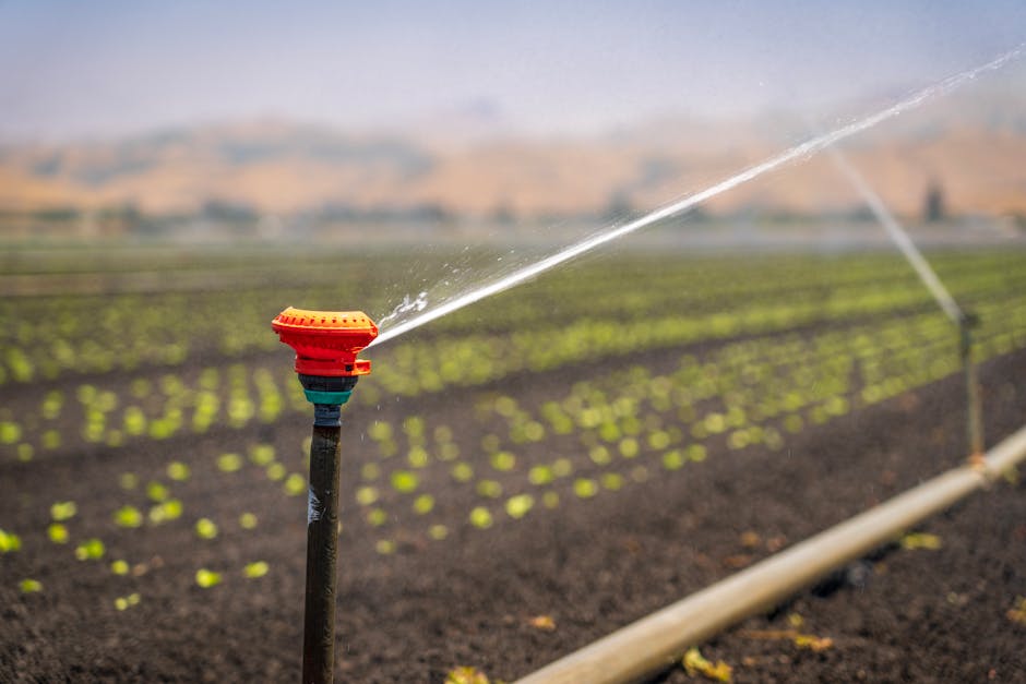 Building Confidence Through Better Irrigation System Design Practices